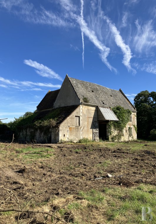 ruins for sale France center val de loire   - 1