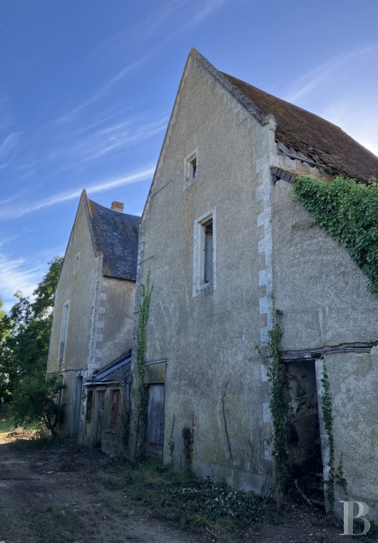 ruins for sale France center val de loire   - 3