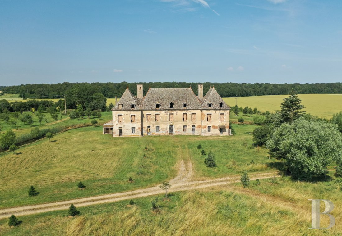 chateaux for sale France burgundy   - 1