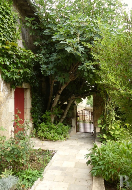 character properties France poitou charentes   - 12