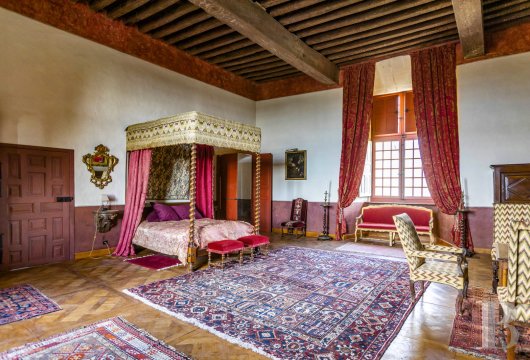 chateaux for sale France poitou charentes   - 17