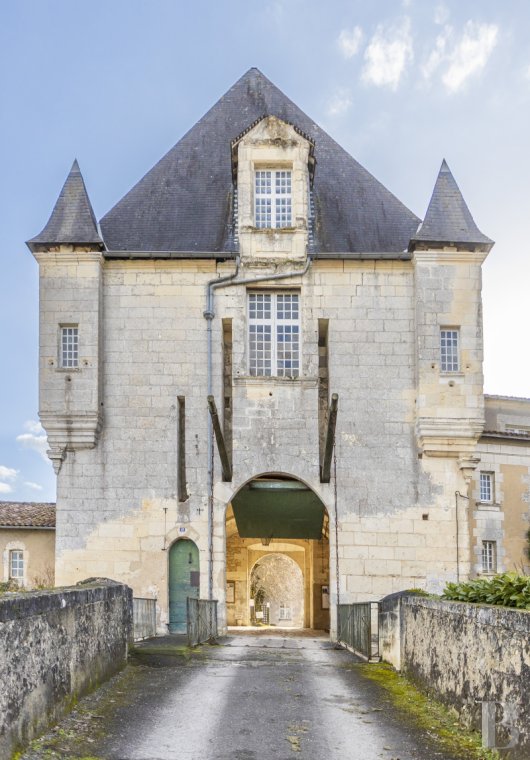 chateaux for sale France poitou charentes   - 3