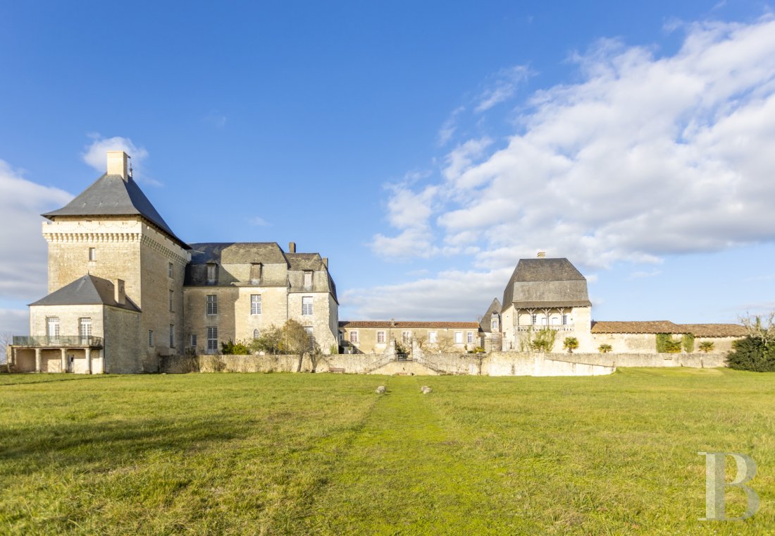 chateaux for sale France poitou charentes   - 2