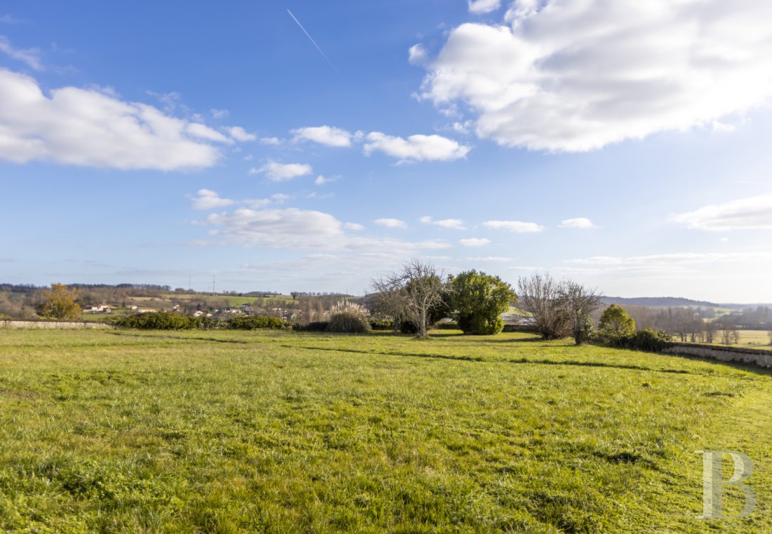 chateaux for sale France poitou charentes   - 21