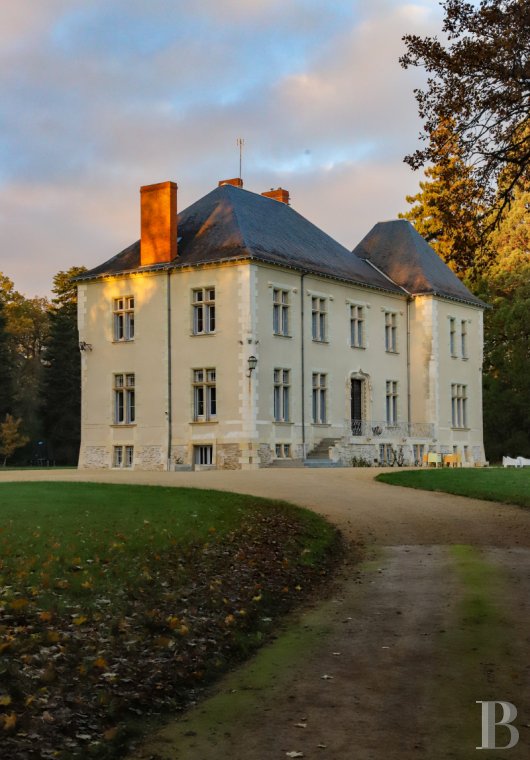 chateaux a vendre poitou charentes   - 2