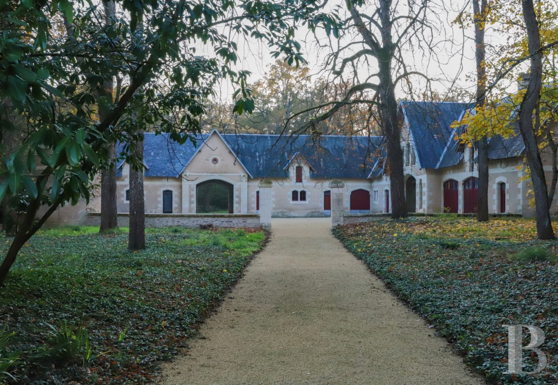 chateaux a vendre poitou charentes   - 15