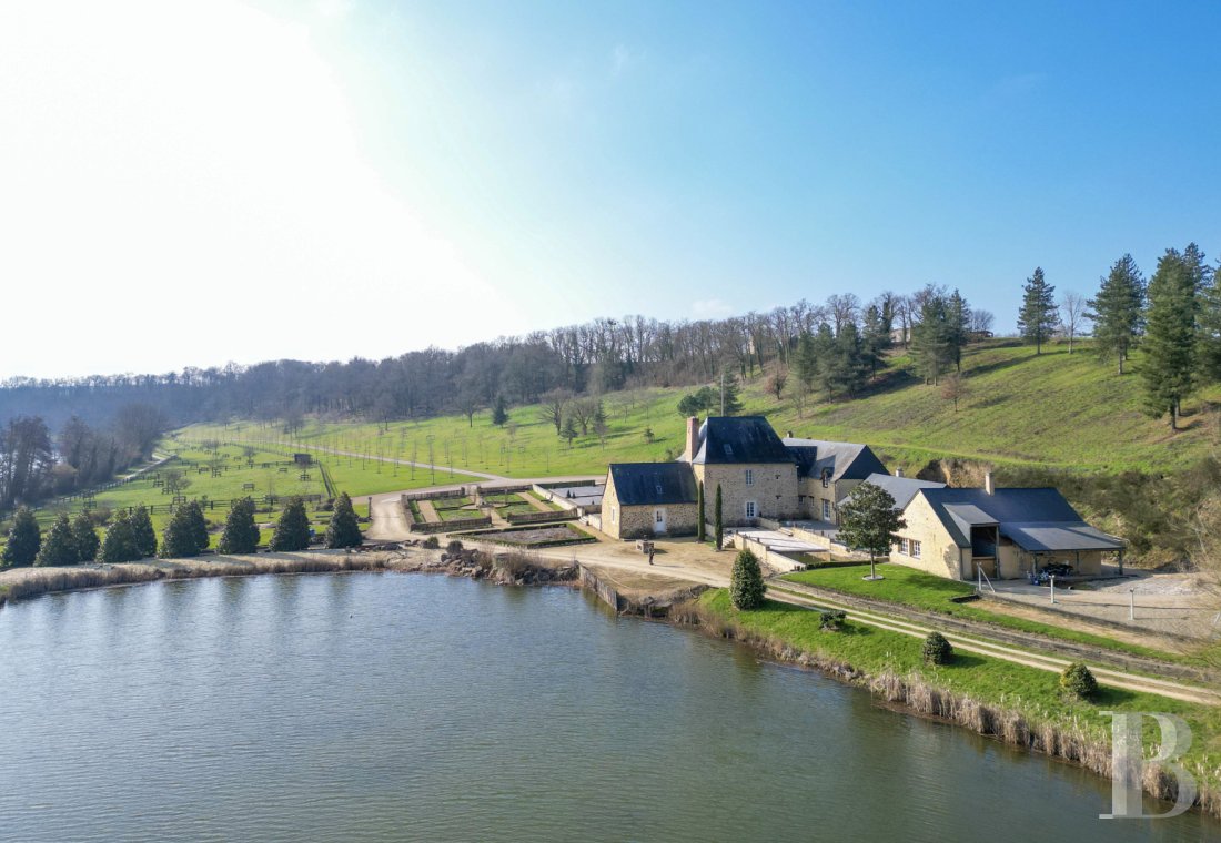 France mansions for sale pays de loire   - 17