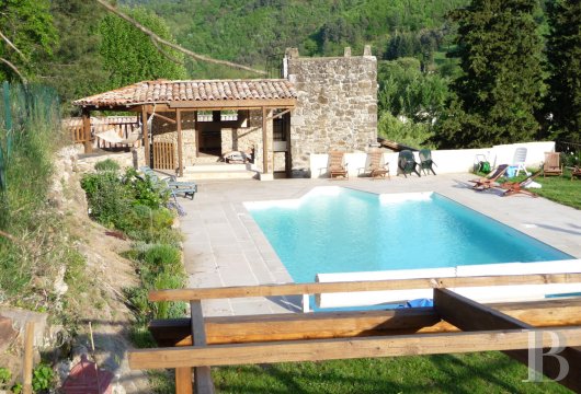 France mansions for sale rhones alps   - 24