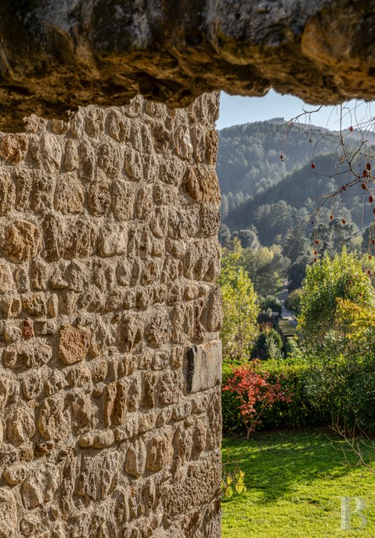 France mansions for sale rhones alps   - 23
