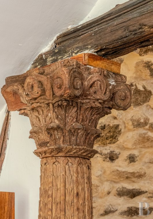 France mansions for sale rhones alps   - 9