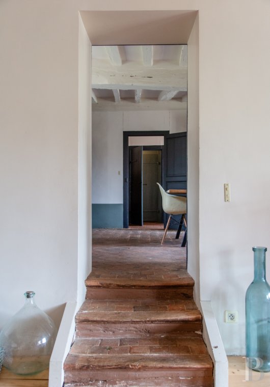 character properties France burgundy   - 4