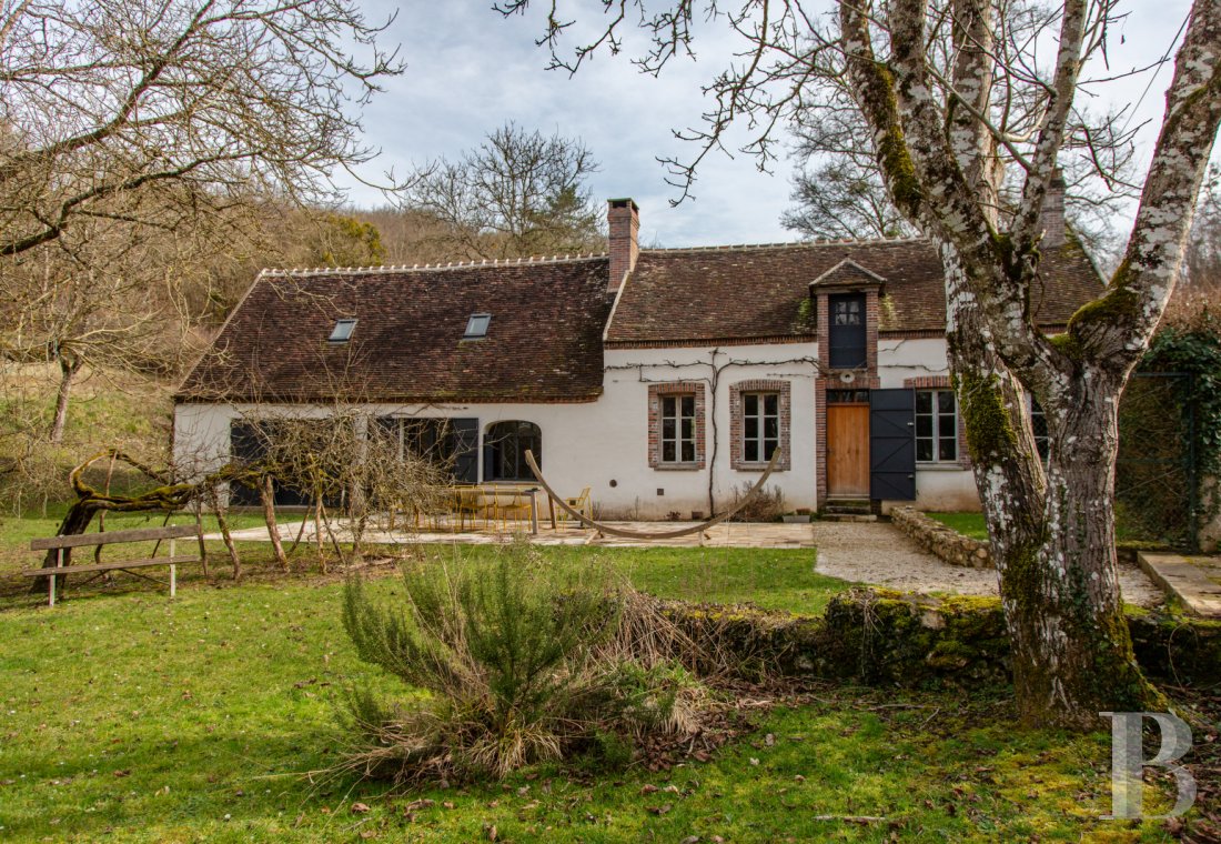 character properties France burgundy   - 1