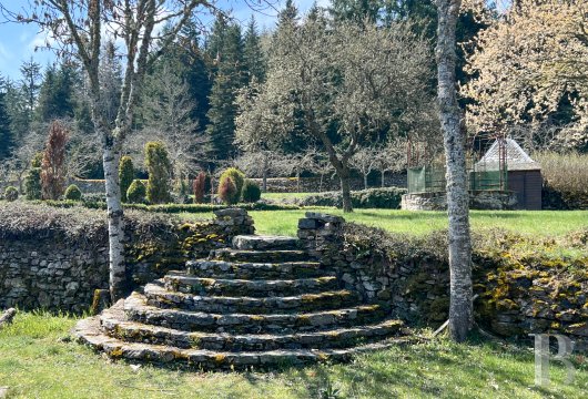 chateaux for sale France auvergne   - 25