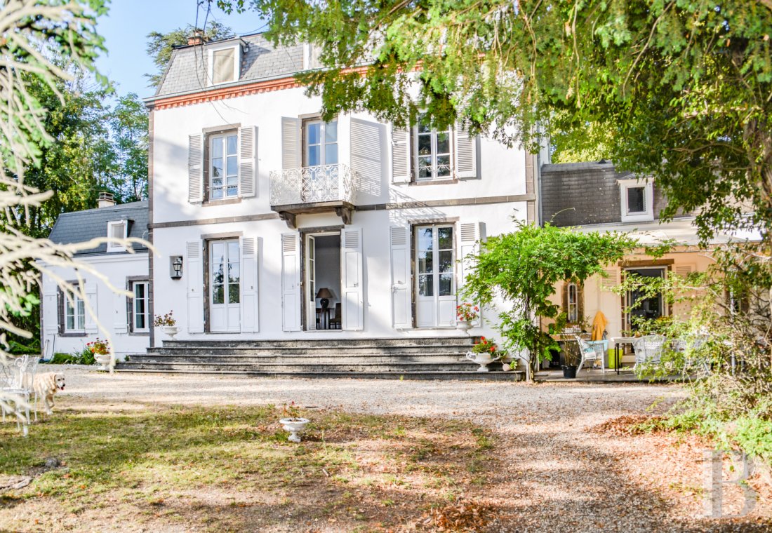 France mansions for sale auvergne   - 2