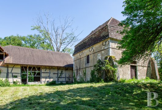 chateaux for sale France burgundy   - 21