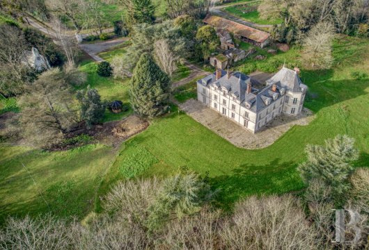 chateaux for sale France pays de loire   - 5