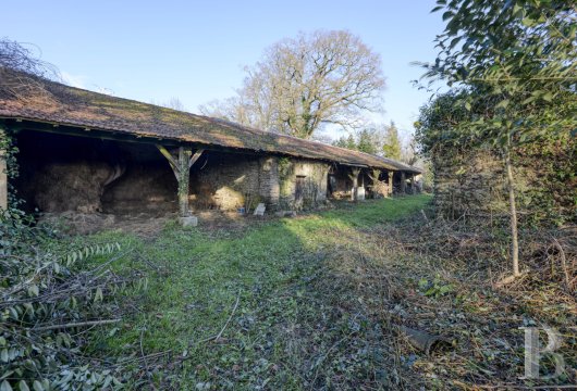 chateaux a vendre pays de loire   - 24