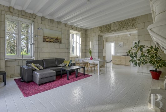 chateaux for sale France pays de loire   - 22