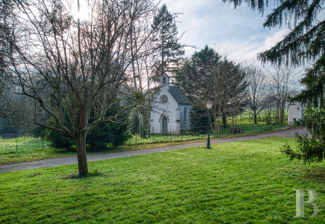 chateaux a vendre pays de loire   - 21