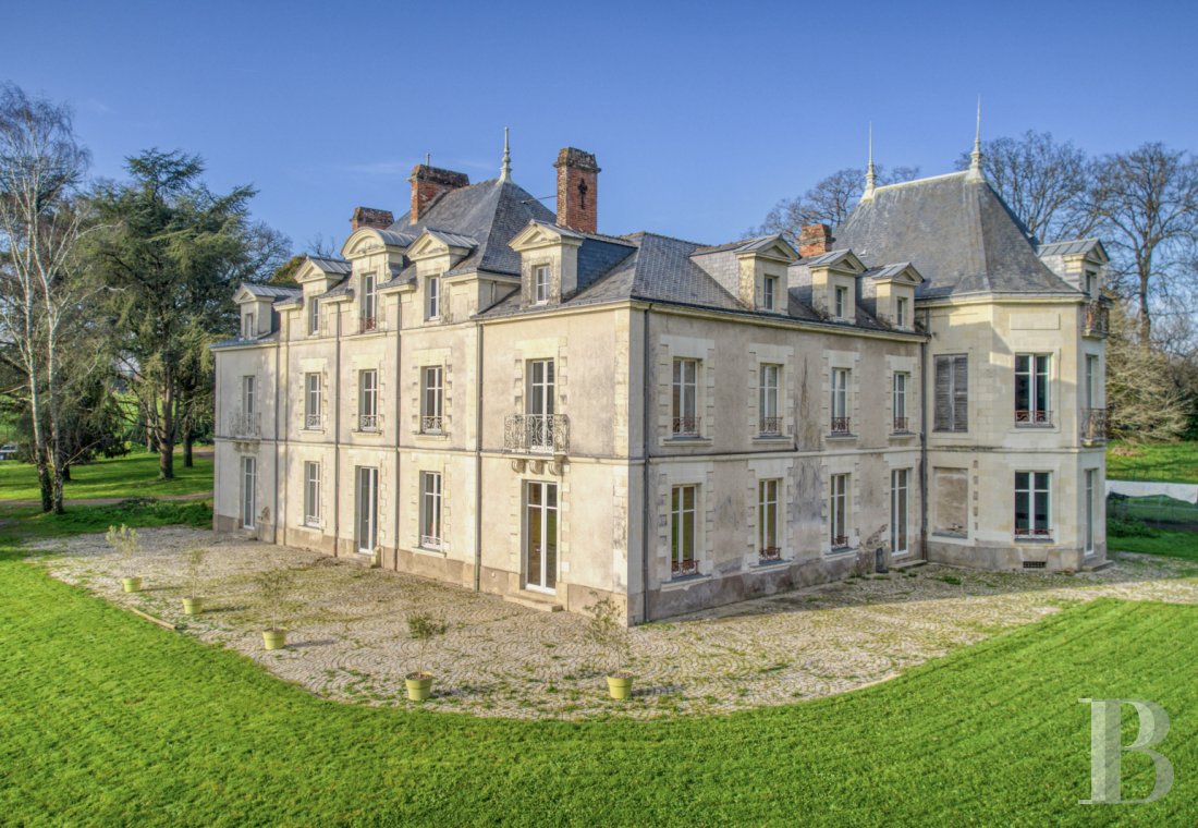 chateaux a vendre pays de loire   - 1