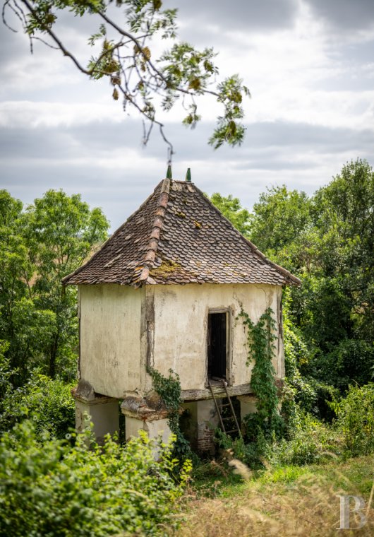 chateaux for sale France languedoc roussillon   - 9