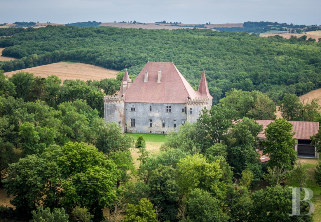 chateaux for sale France languedoc roussillon   - 1