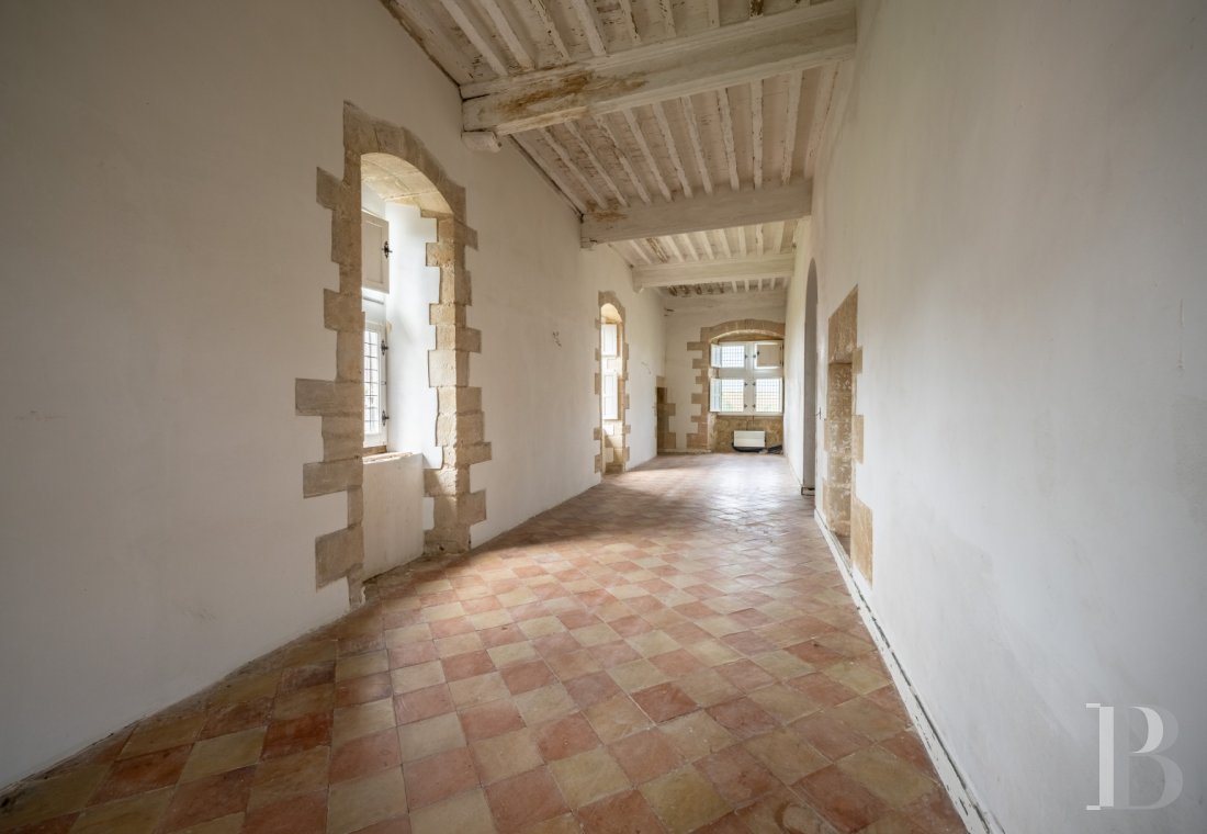 chateaux for sale France languedoc roussillon   - 6