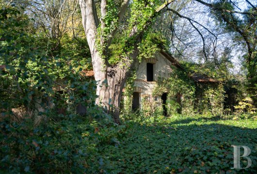 France mansions for sale ile de france   - 19