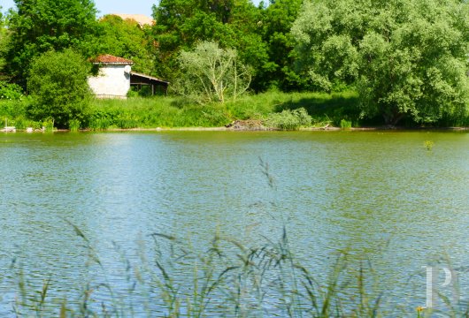 mills for sale France poitou charentes   - 8