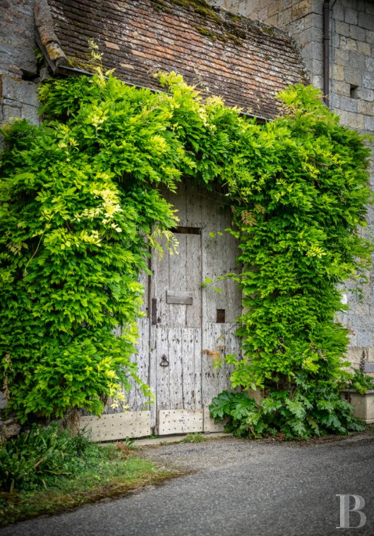 chateaux for sale France midi pyrenees   - 20