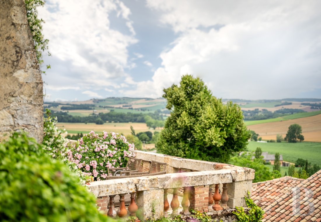 chateaux for sale France midi pyrenees   - 21