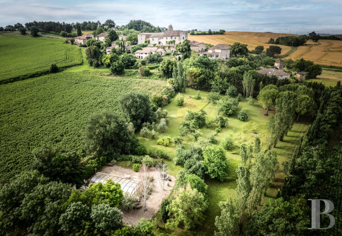 chateaux for sale France midi pyrenees   - 22