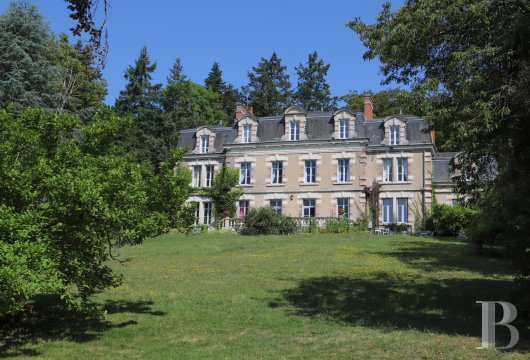 chateaux for sale France center val de loire   - 2