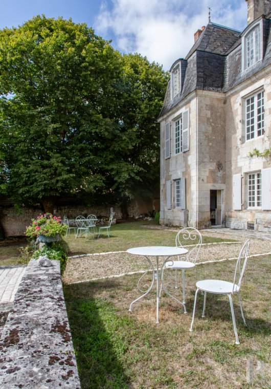 chateaux for sale France poitou charentes   - 3