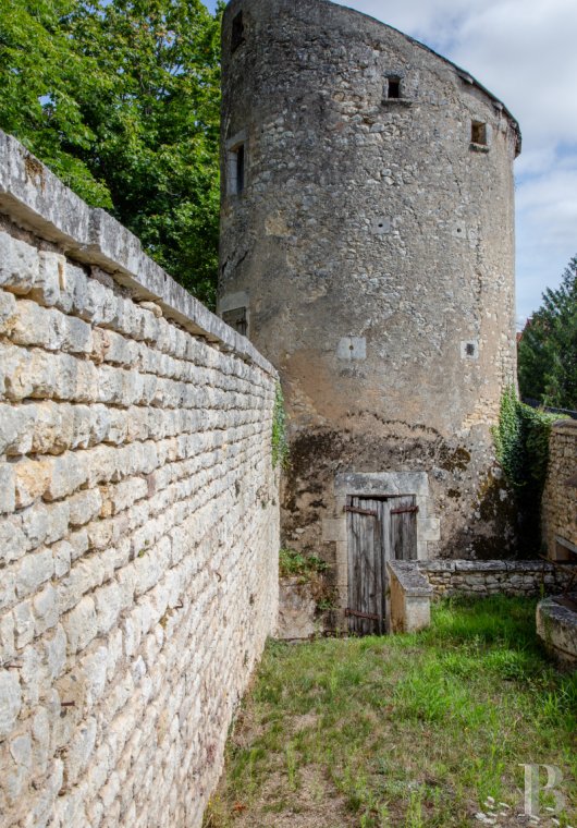 chateaux for sale France poitou charentes   - 14