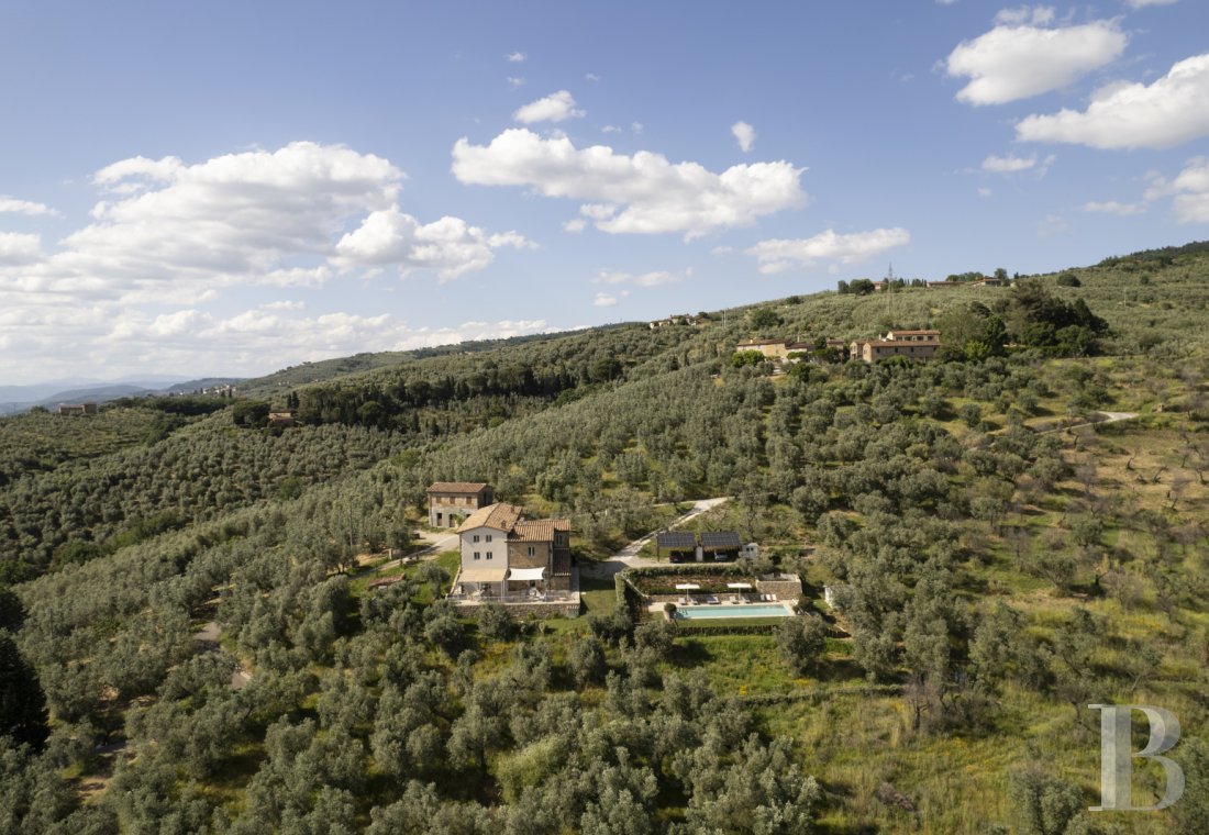 En Toscane, au nord de Vinci et non loin de Florence, une ancienne ferme du 19e siècle au milieu des oliviers - photo  n°27