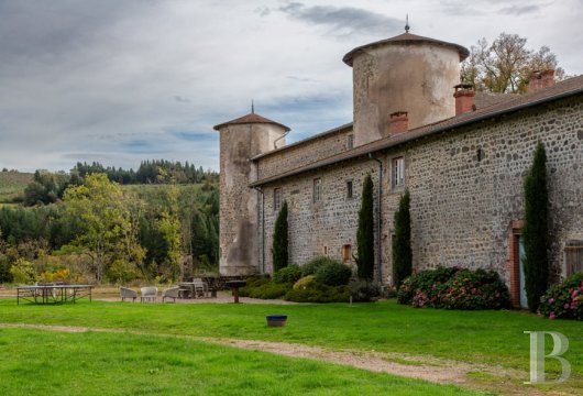 chateaux for sale France rhones alps   - 20