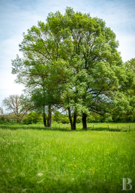 character properties France midi pyrenees   - 13