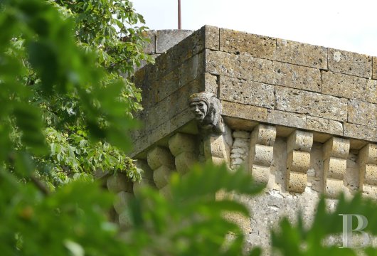 chateaux a vendre midi pyrenees   - 20