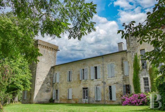 chateaux for sale France midi pyrenees   - 7