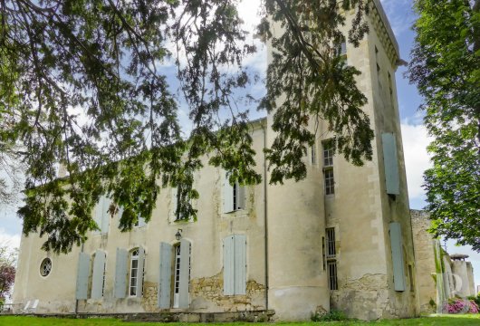 chateaux a vendre midi pyrenees   - 8