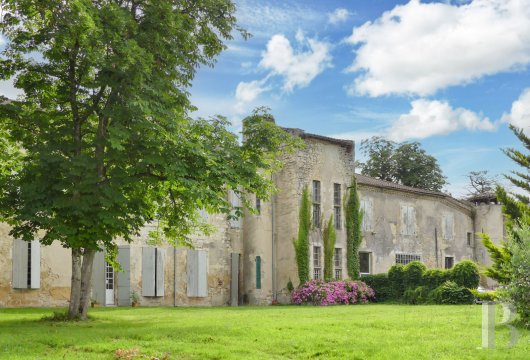 chateaux for sale France midi pyrenees   - 5