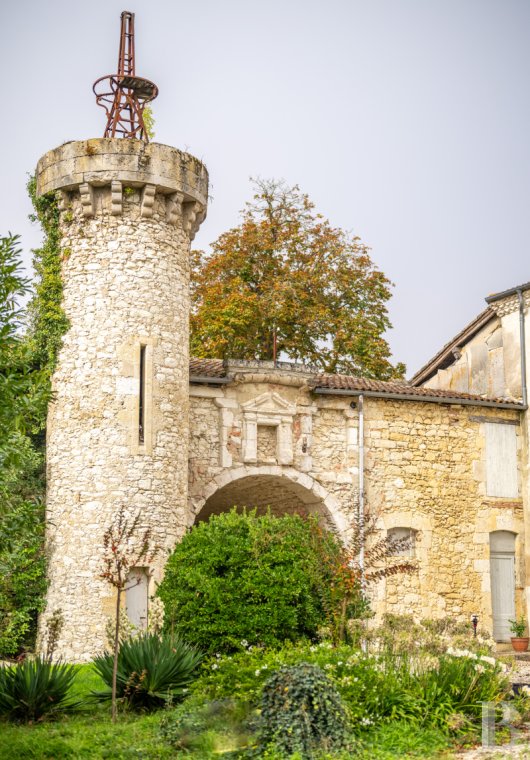 chateaux for sale France midi pyrenees   - 8