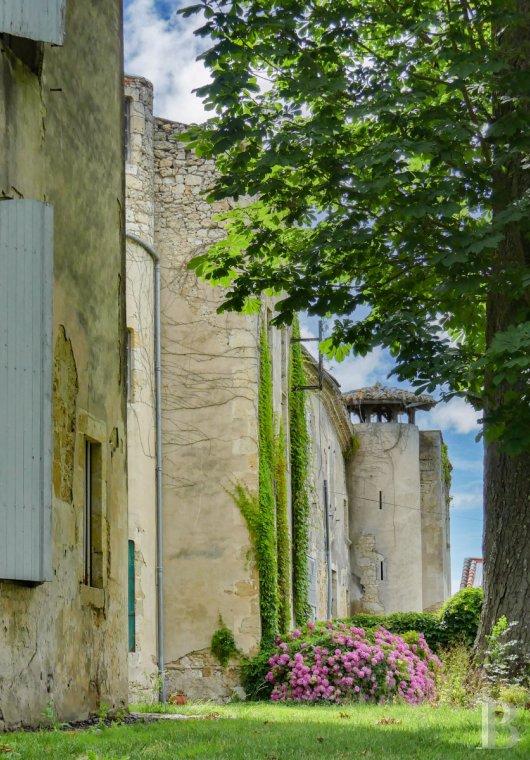 chateaux a vendre midi pyrenees   - 3