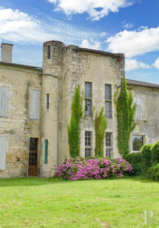 chateaux a vendre midi pyrenees   - 11