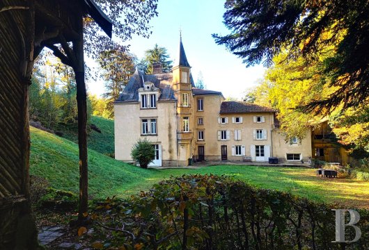 chateaux for sale France rhones alps   - 1