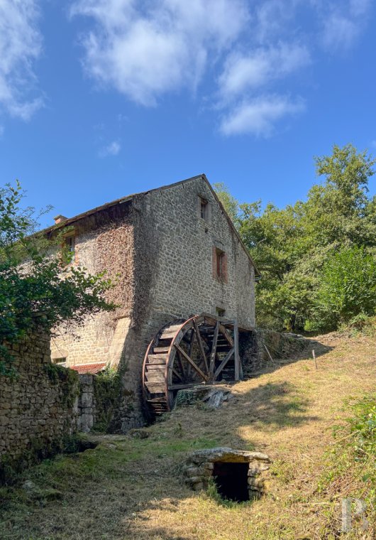 mills for sale France limousin   - 8