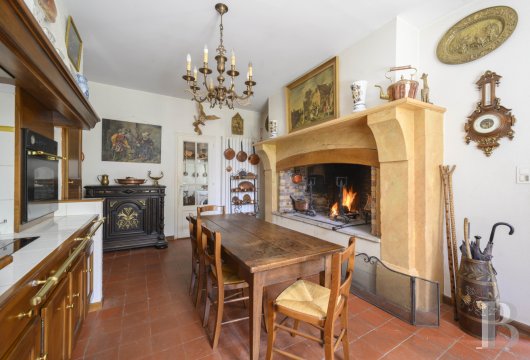 chateaux for sale France midi pyrenees   - 10