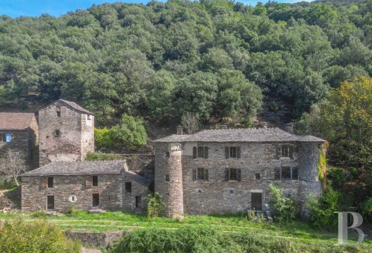 chateaux for sale France languedoc roussillon   - 11