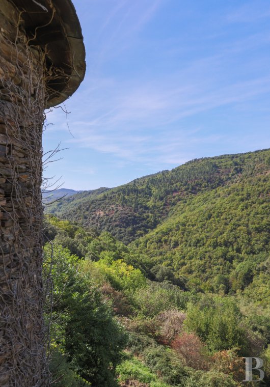 chateaux for sale France languedoc roussillon   - 7